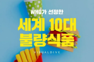 WHO가 선정한 세계 10대 불량식품 – Haste News